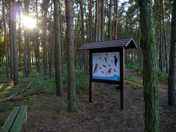 Naturlehrpfad am Gülper See