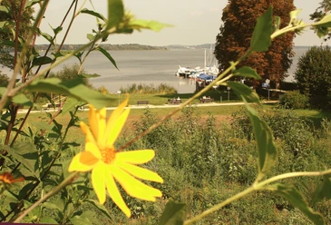 Ferch, Uferpromenade - Blick auf den Schwielowsee, Gemeinde Schwielowsee