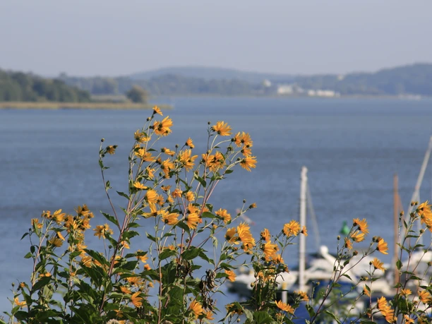 Wasserwanderrastplatz & Kanuanleger in Ferch Zum Alten Landrat