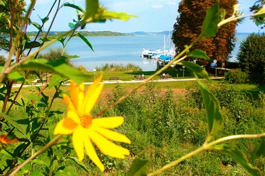 Wasserwanderrastplatz & Kanuanleger in Ferch Zum Alten Landrat