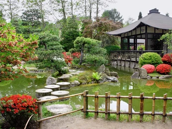 Teich im japanischen Bonsaigarten