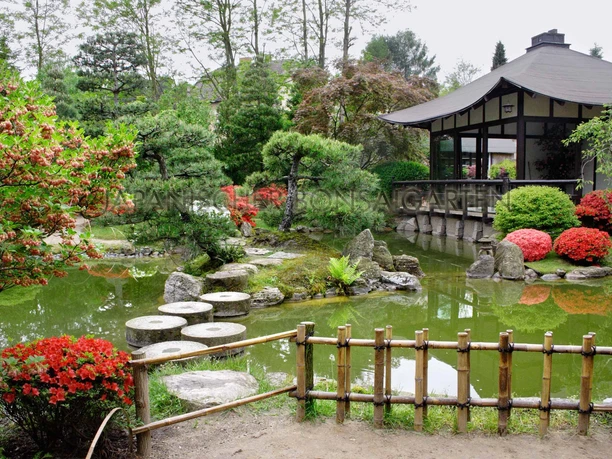 Teich im japanischen Bonsaigarten