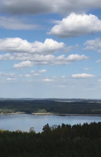 Blick auf den Schwielowsee