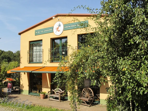 Sanddorn-Garten Petzow