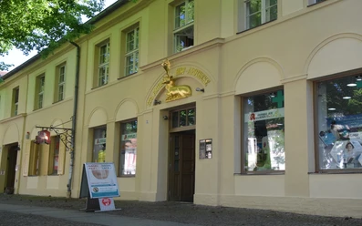 Apotheke Zum goldenen Hirsch