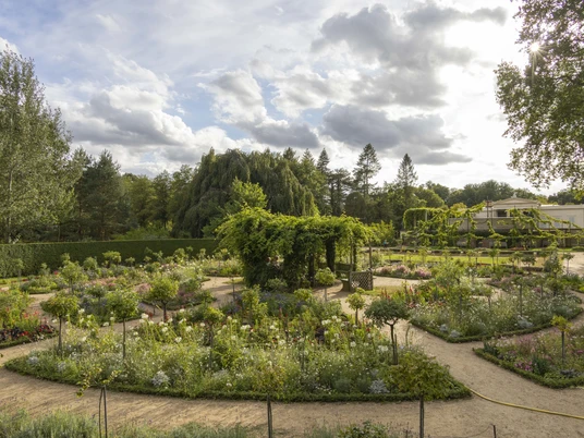 Rosengarten im Park Charlottenhof