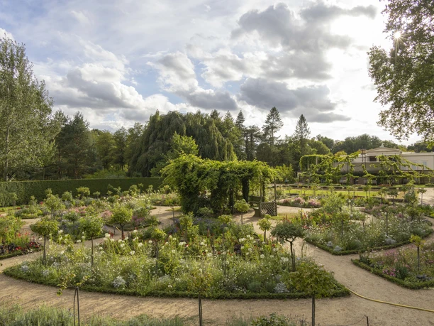 Rosengarten im Park Charlottenhof