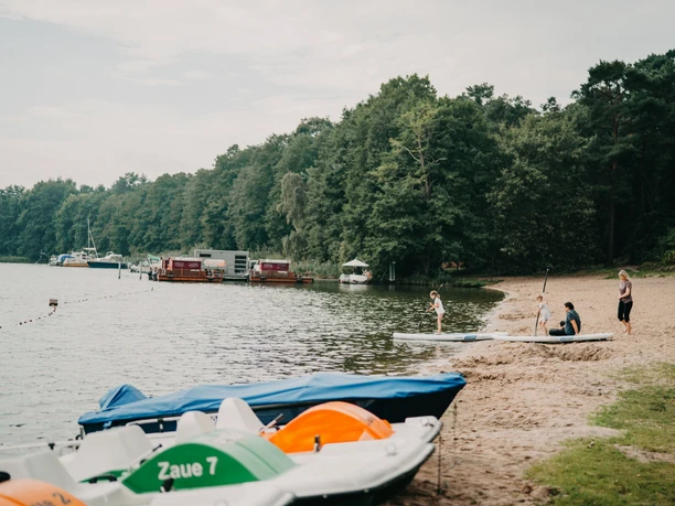 Der Schwielochsee - Naturschönheit und Entdeckerparadies