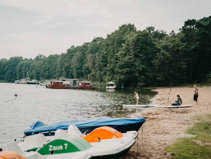 Der Schwielochsee - Naturschönheit und Entdeckerparadies