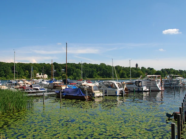 ESV Lokomotive Potsdam e.V. - gegenüber vom Schlosspark Babelsberg