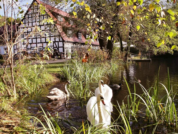 Hotel und Restaurant "Springbach-Mühle"