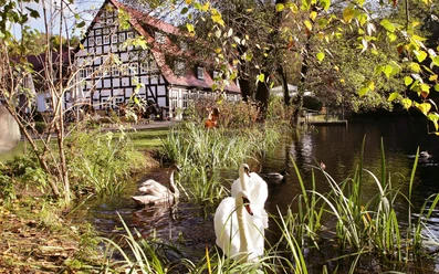 Hotel "Springbach-Mühle"