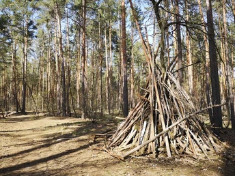 Wald als Erlebnisspielplatz