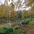 Teiche im Schloßpark Jüterbog