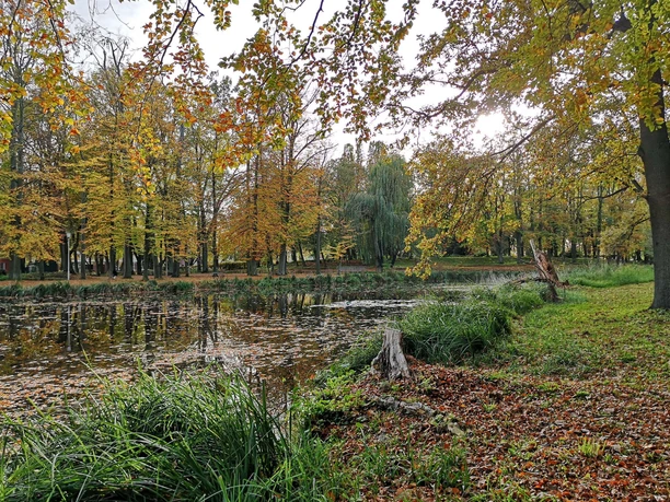 Teiche im Schloßpark Jüterbog