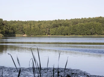 Grosser Lienewitzsee
