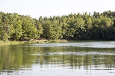 Kleiner Lienewitzsee