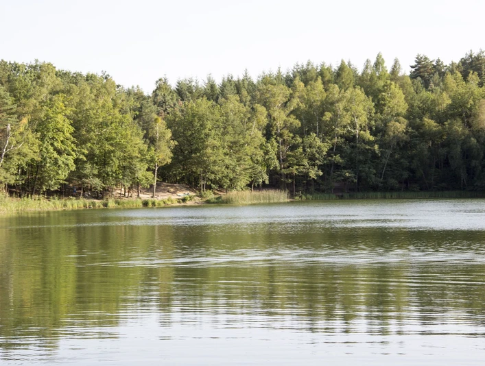 Kleiner Lienewitzsee