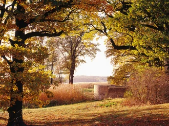 Exedra Bank im Park Sacrow