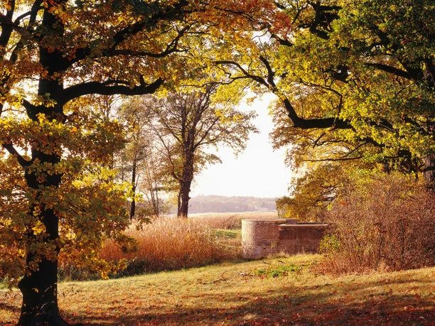 Exedra Bank im Park Sacrow