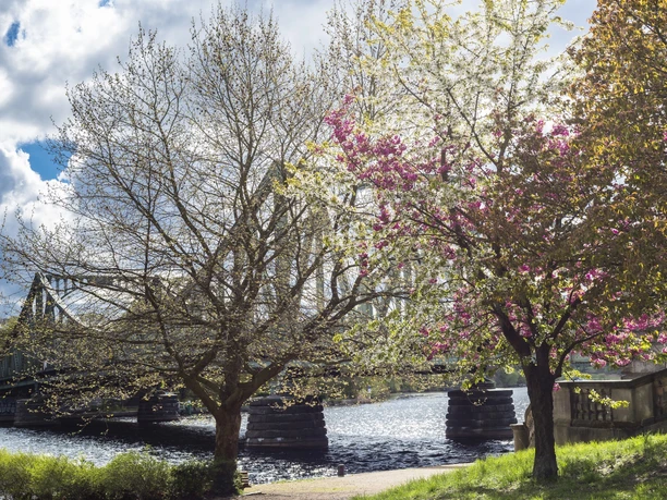 Die Glienicker Brücke