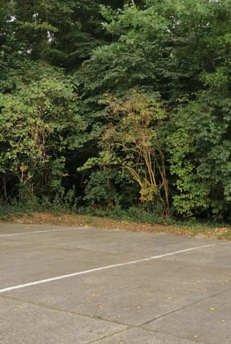 Wohnmobilstellplatz am Neuen Palais