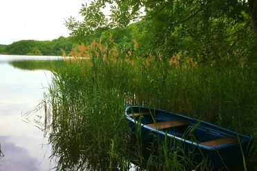Ruderboot am Caputher See