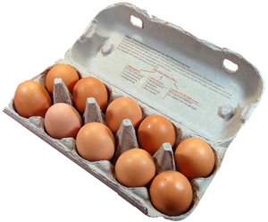 Eier