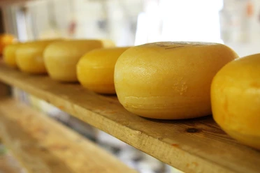 Käse