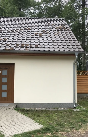 Bungalow auf der Ferienanlage Netzener See