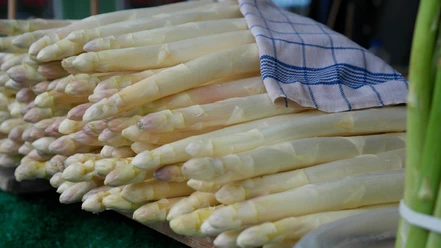 frischer Spargel
