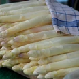 frischer Spargel