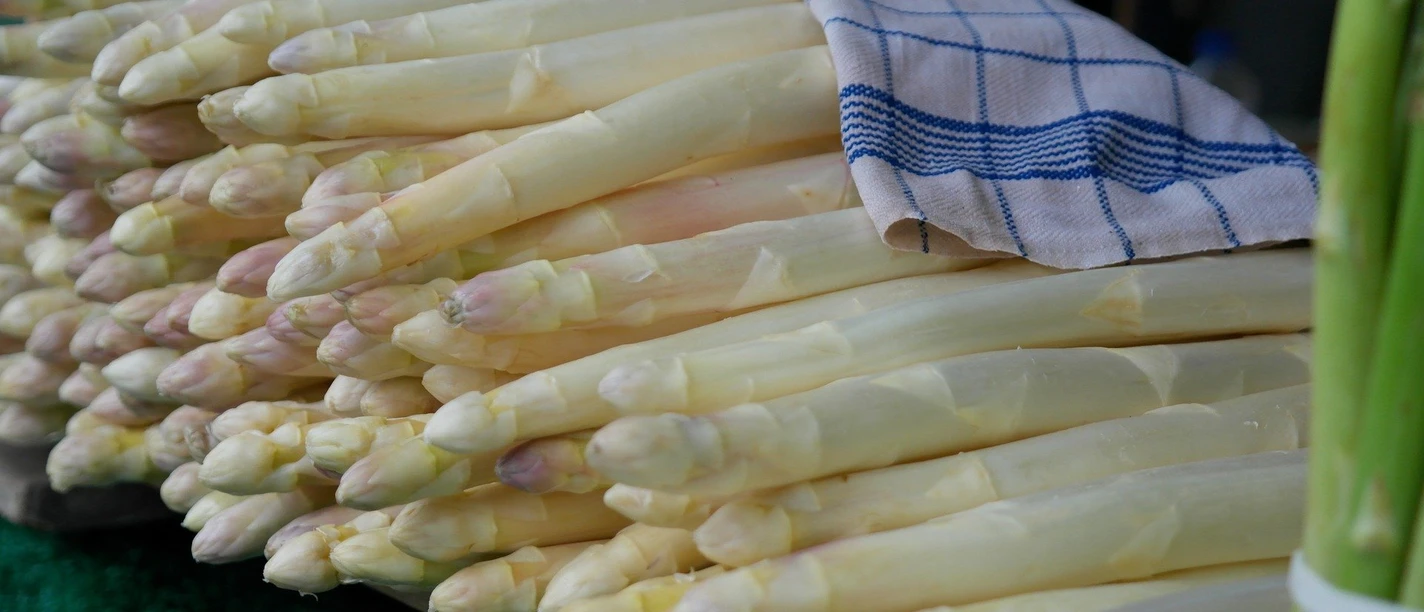 frischer Spargel frischer Spargel