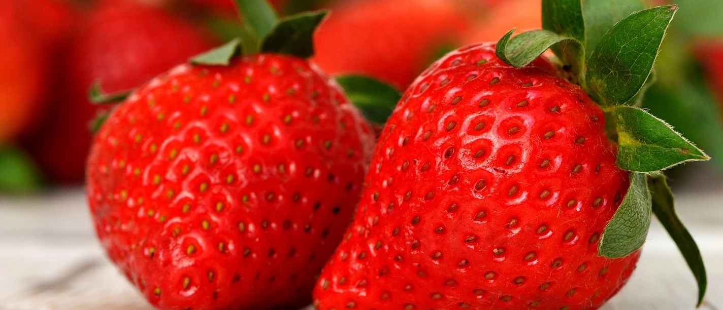Erdebeeren