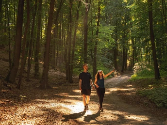 Wandern bei Falkenberg (Mark)