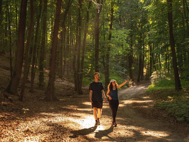 Wandern bei Falkenberg (Mark)