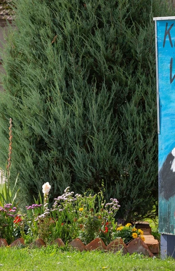 Storchenstadt Klopot