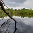 Torfstichteich Werderscher Damm