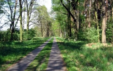 Landschaft bei Nauen
