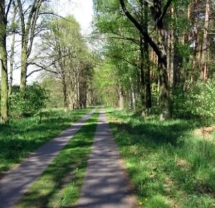 Landschaft bei Nauen