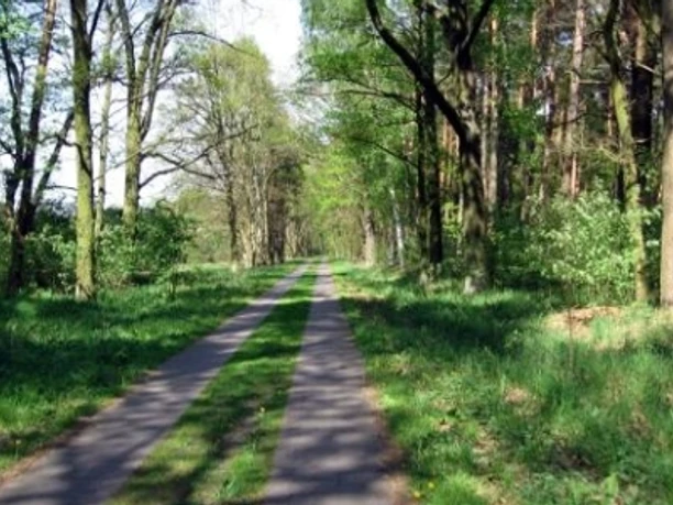 Landschaft bei Nauen