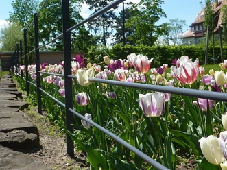Landhausgarten Dr. Max Fraenkel