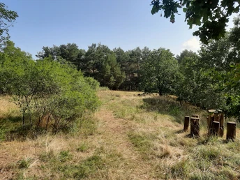 Kulisch Berg in Neuzelle