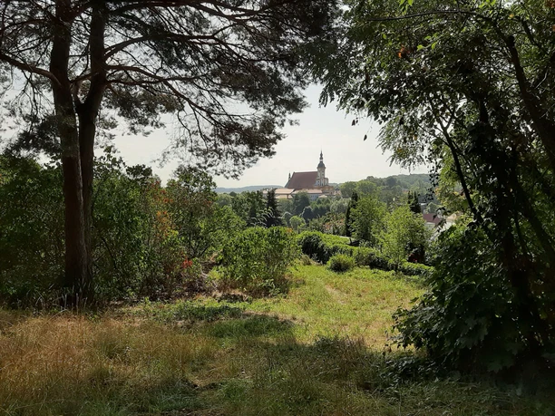 Kulisch Berg in Neuzelle