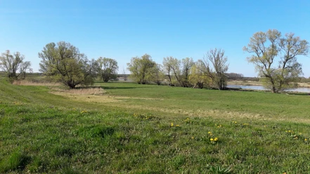 Neuzelle Oder