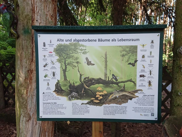 Kobbelner Steine