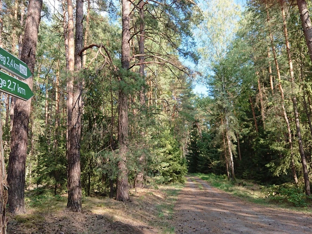 Kobbeln Wanderung am Springberg