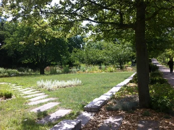 Kurpark Bad Belzig an der Steintherme