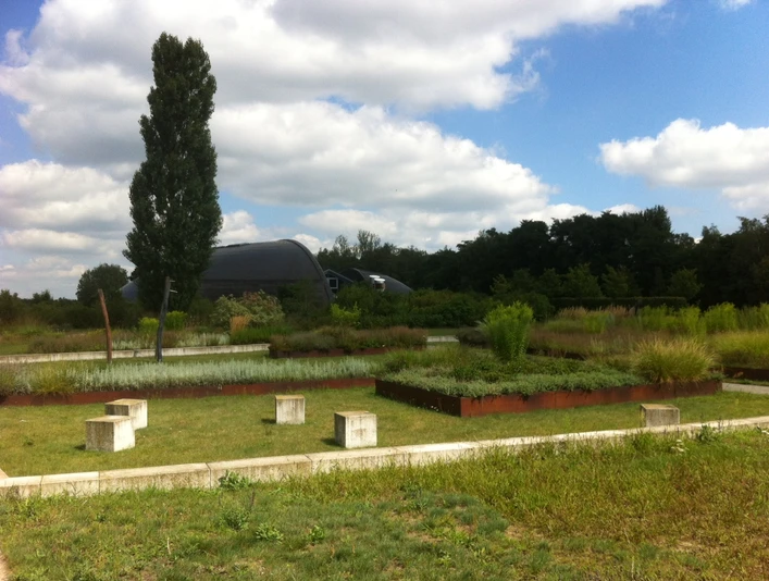 Kurpark Bad Belzig an der Steintherme