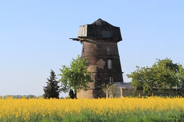 Großkopfs Turmwindmühle bei Niemegk